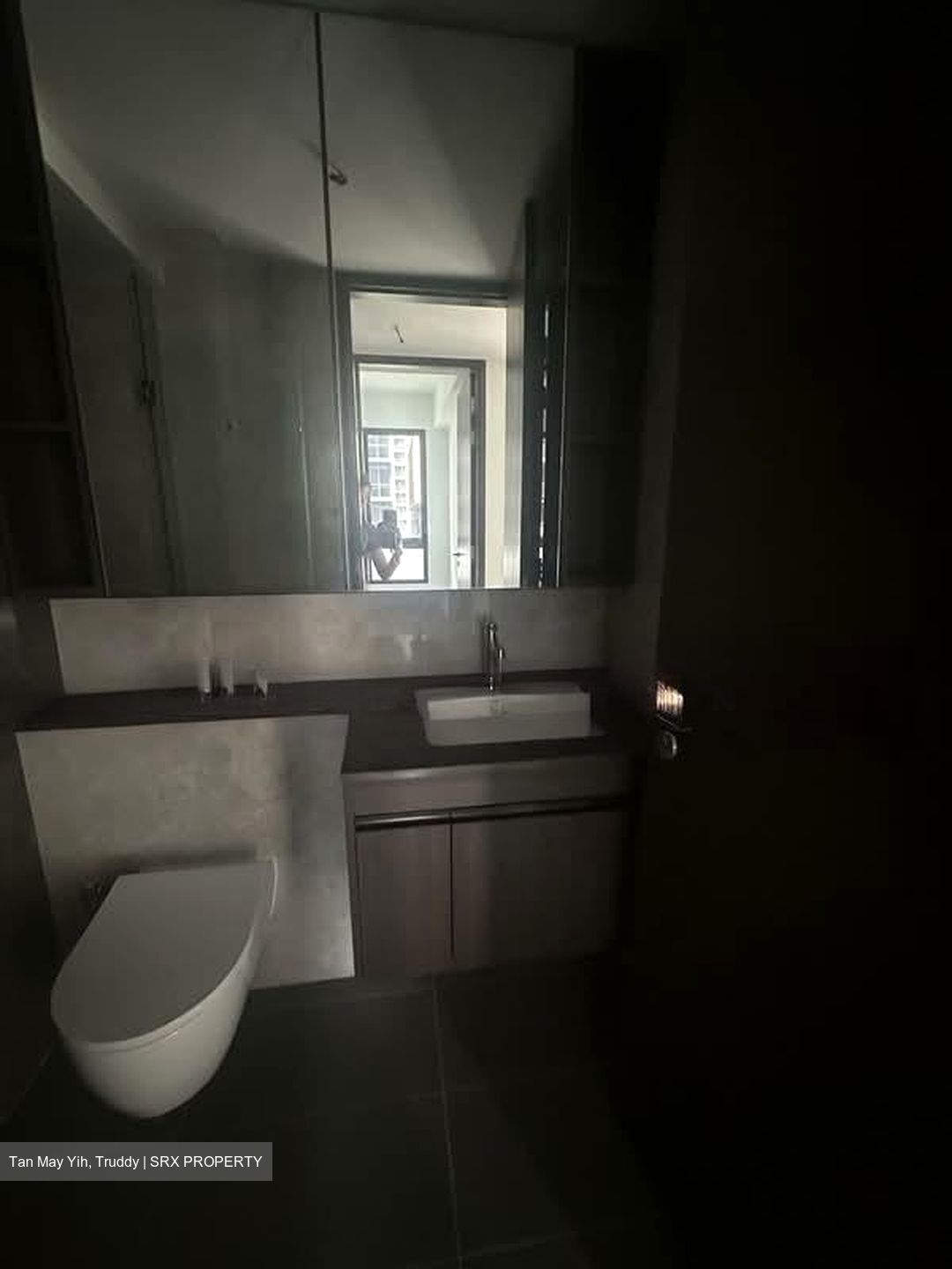 Tembusu Grand (D15), Condominium #542650041